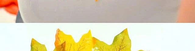 Rudens rotājumi