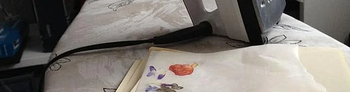 Ilgmūžīgie augi