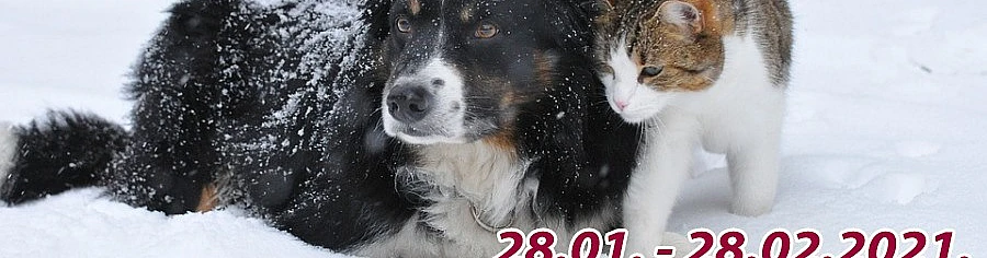 Palīdzēsim ķepaiņiem kopā!