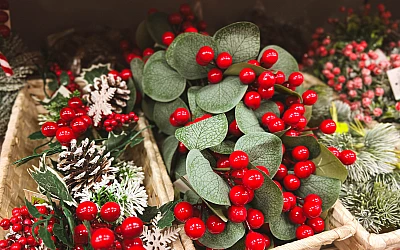 Vai Tev jau ir Adventes vainags?