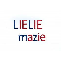 Movable Alphabet - Uppercase/Lowercase Printed Wooden Letters (106 pcs.)