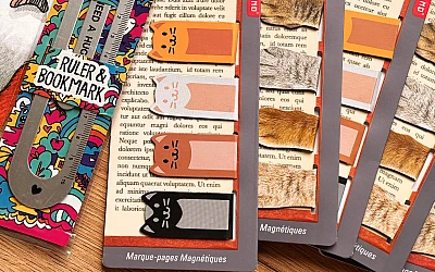 Easy-to-use study tools at Kanclers NAMS!