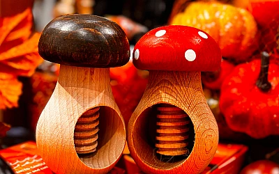 Autumn vibes at the Kanclera NAMS