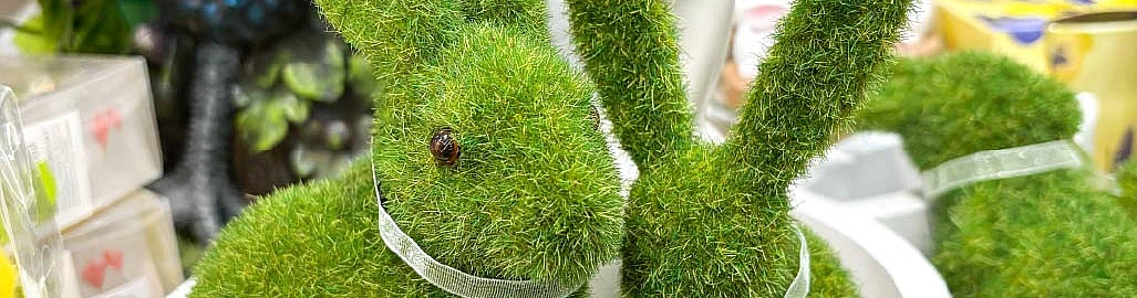 Let's start creating the Easter mood!