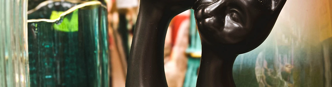 The black cat also seen in Kanclers!