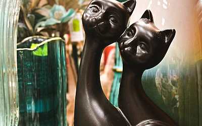 The black cat also seen in Kanclers!