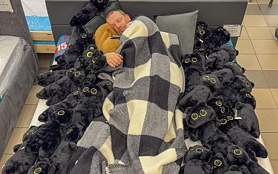 Buy a mattress, get a Cat as a gift!