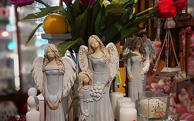 Maija skaistums Kanclera plauktos