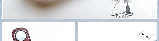 Idejas kārtības ieviešanai