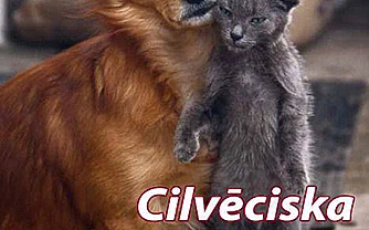 Cilvēciska palīdzība ķepaiņiem 2020