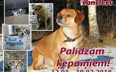 Cilvēciska palīdzība patversmē nokļuvušajiem suņiem un kaķiem