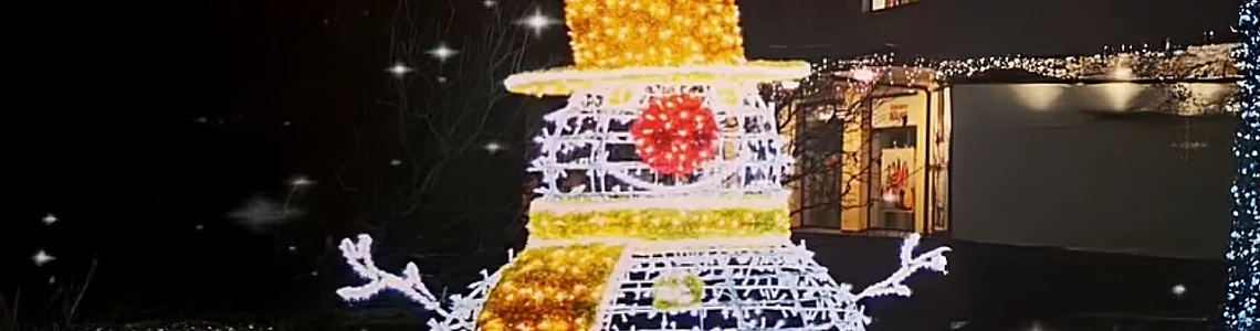 Have you already taken a photo with the Snowman?