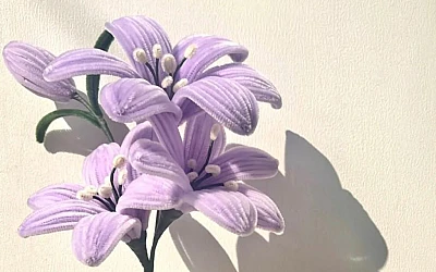 Māmiņdiena jau šo svētdien!